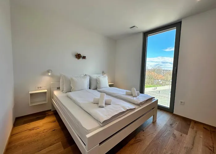 Apartment Angel Wings Premium